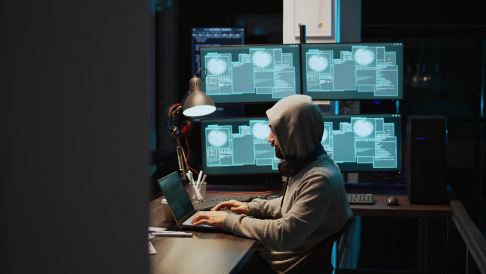Enhancing Cybersecurity through IT Audits: Unveiling Vulnerabilities and Bolstering Protection